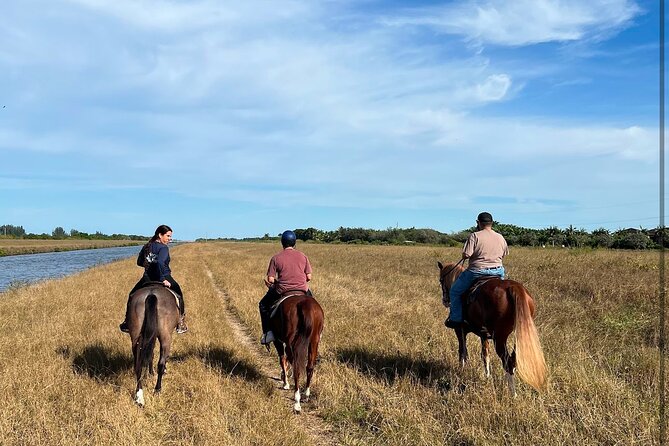 1 hour of ATV + 1 hour horse ride-- free videos and pictures - The real price is higher than $100