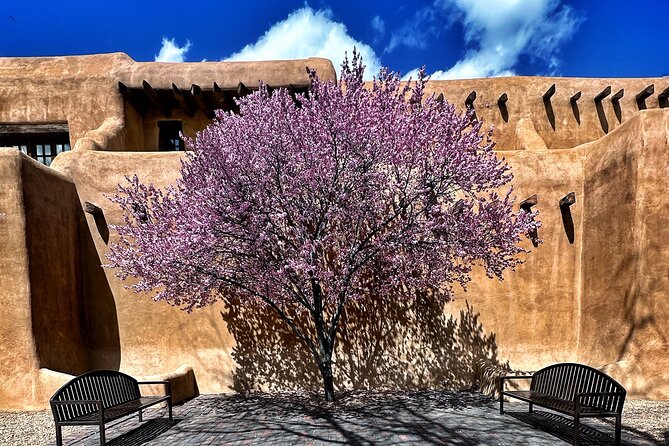 2-Hour Photography Class While Touring Downtown Santa Fe, Smart Phones Welcome! - Snapseed gives the class a useful second half