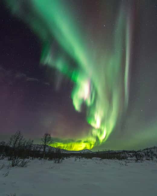 Abisko: Aurora Car Chasing Tour with Photographer - The photography is the strongest feature