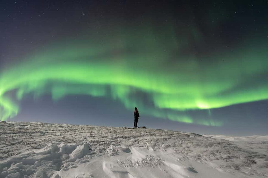 Abisko: Northern Lights Photography Tour with Dinner - Photography help for beginners and experienced shooters