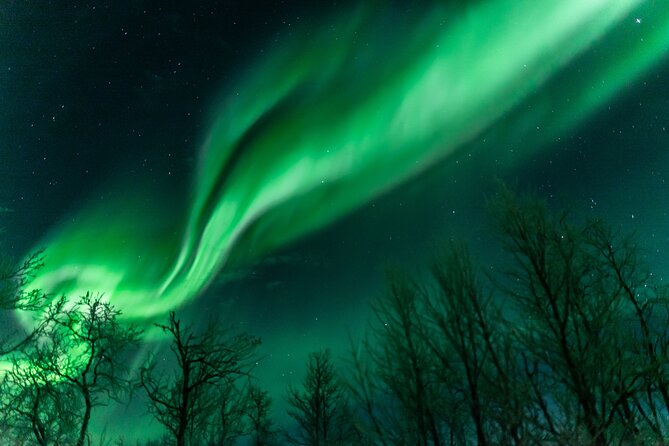 Abisko Northern Lights Tour with Photographer - Why this Abisko northern lights tour works