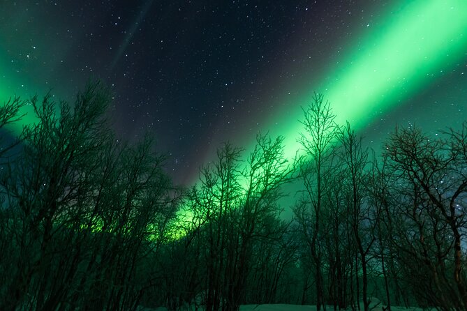 Abisko Northern Lights Tour with Photographer - Starting at 7 pm in Abisko