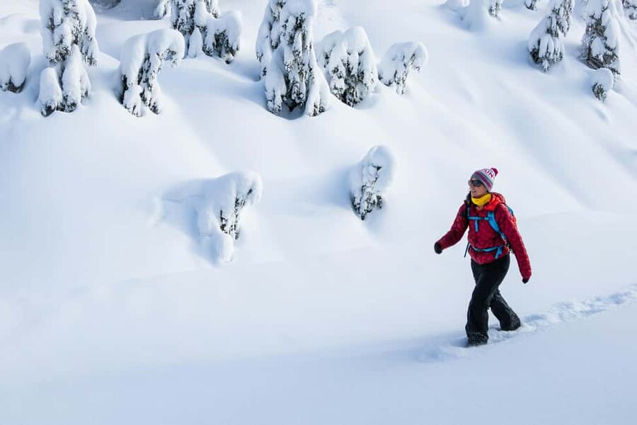Abisko: Photo Hike with Professional Photographer - Snowshoes make winter walking less awkward