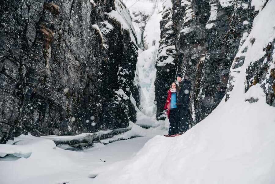 Abisko: Photo Hike with Professional Photographer - Viewpoints, forests, and frozen water