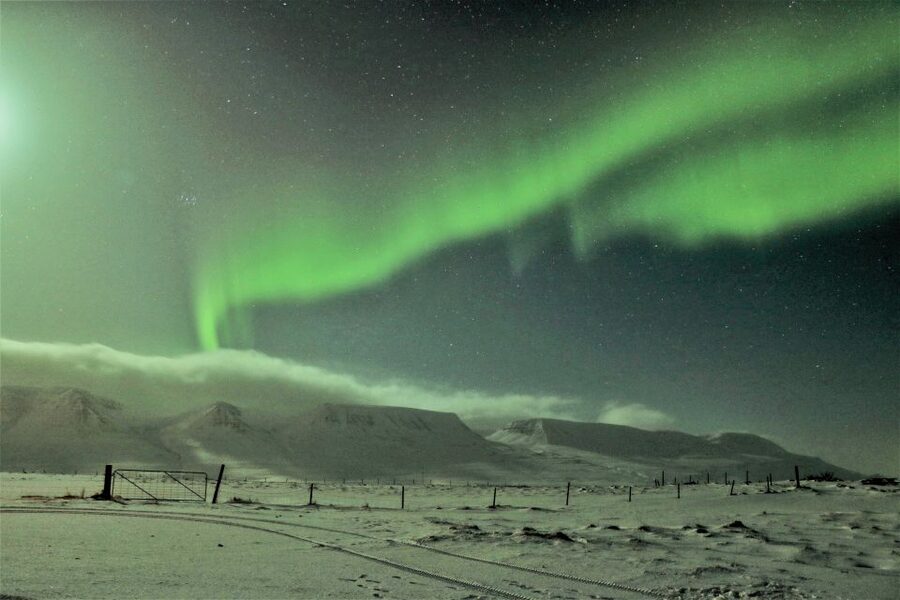 Akureyri: Hunt for the Northern Lights Photography Tour - Why the $113 price may or may not work