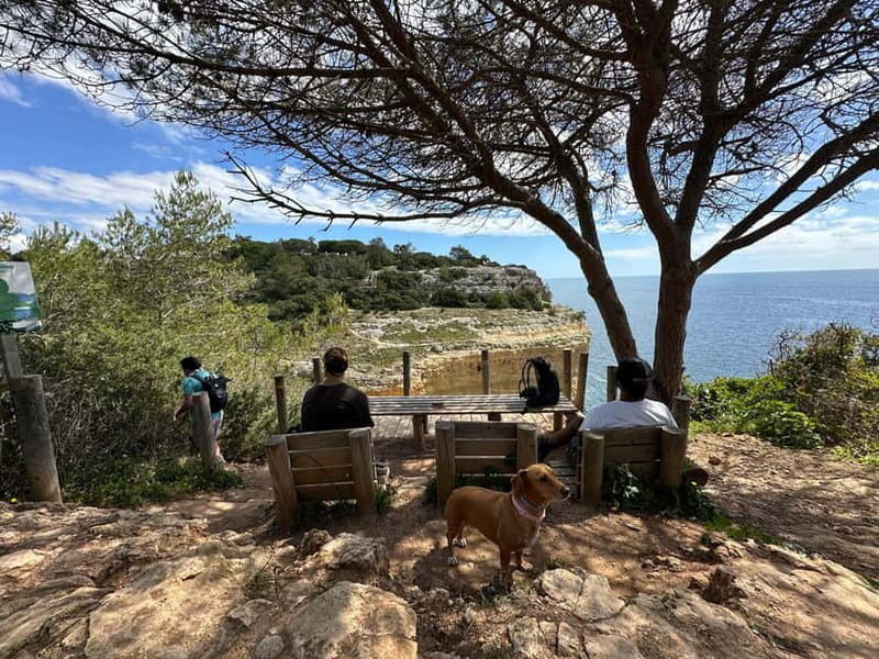 Algarve: 7 Seven Hanging Valley Hike Tour- Photos & Transfer - Key things to know before you book