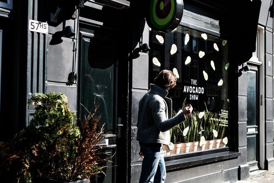 Amsterdam: Instagram Scenic Photo Spots & Moco Museum Tour - Why This Amsterdam Photo Tour Works