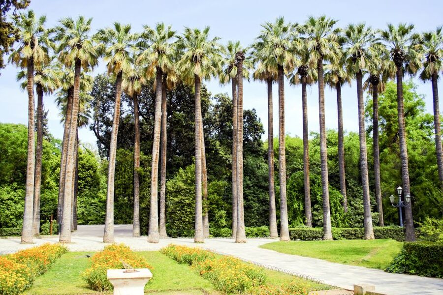 Athens Instagram Tour: The Most Scenic Spots - What this Athens photo walk is really like