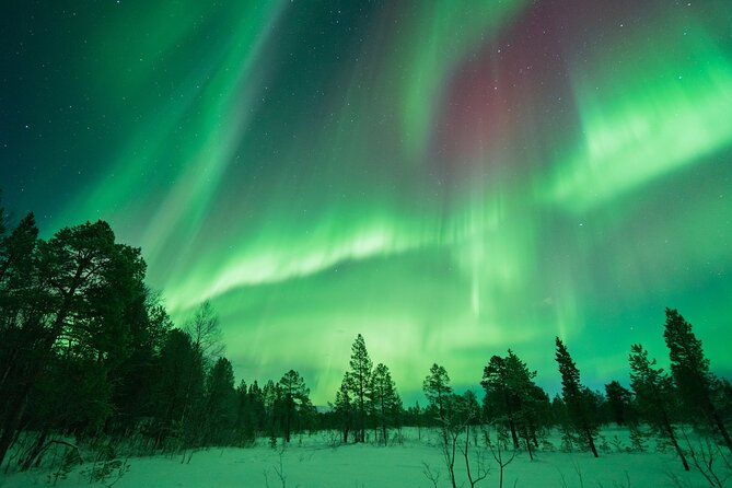 Aurora Hunt with the campfire and professional photographer - Photos you can actually use afterward