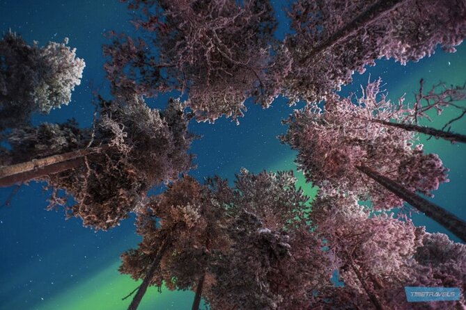 Aurora Photography Tour 3 HOURS - The photography question: useful advice, but check the details
