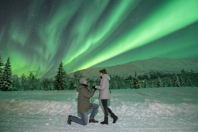 Aurora Safari Chase by big bus, free Photos, toilet onboard - At the first Troms viewing site