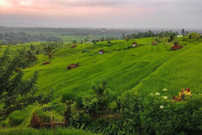 Bali Instagram Tour - Lempuyang Bali Gate of Heaven - Who should book this experience?