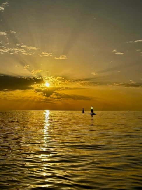 Barcelona: Paddleboarding at Sunrise. Includes: instructor, photos, equipment - Key points to know before booking
