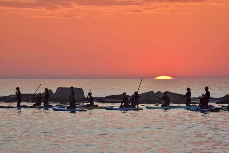 Barcelona: Paddleboarding at Sunrise. Includes: instructor, photos, equipment - Learning the board before you launch
