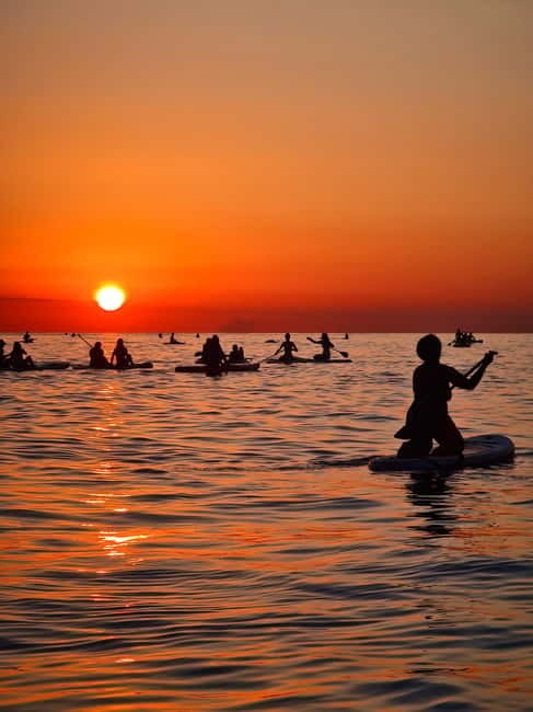 Barcelona: Paddleboarding at Sunrise. Includes: instructor, photos, equipment - Safety, weather, and sea conditions