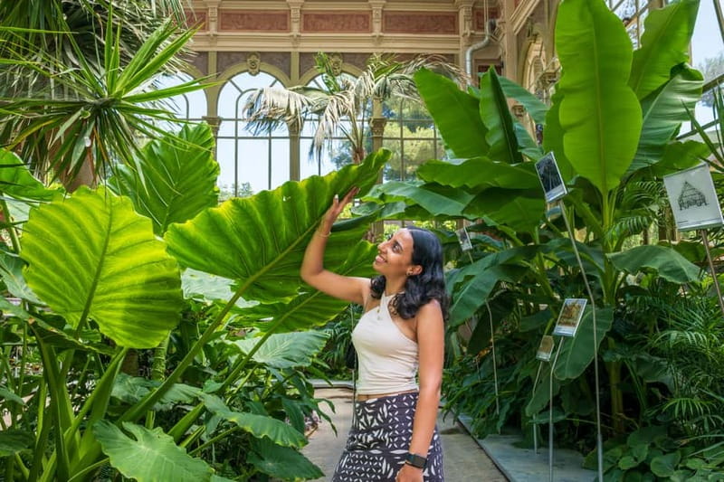 Barcelona: Private Photoshoot in Ciutadella Park with Ami - The greenhouse: a strong opening setting