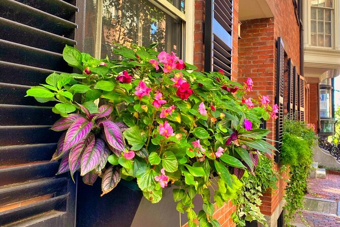 Beacon Hill Boston History + Photo Walking Tour (SMALL Group) - Walking comfort and weather