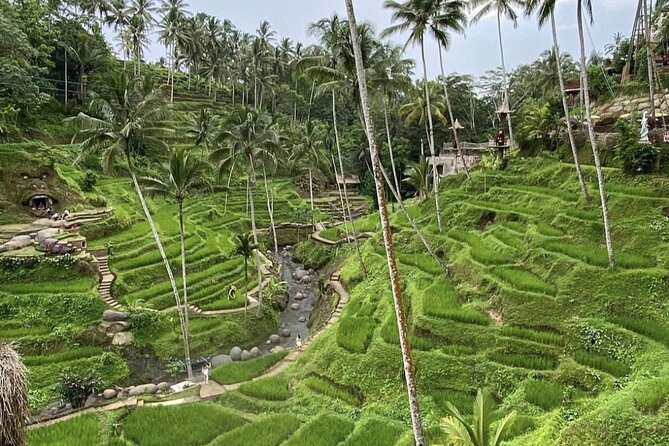Best of Instagram Tour: Gate of Heaven, Tirta Gangga, Bali Swing - Tegalalang Rice Terrace in only 15 minutes
