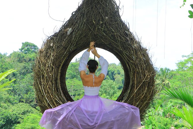 Best of Instagram Tour: Gate of Heaven, Tirta Gangga, Bali Swing - The driver-guide can make or break the day