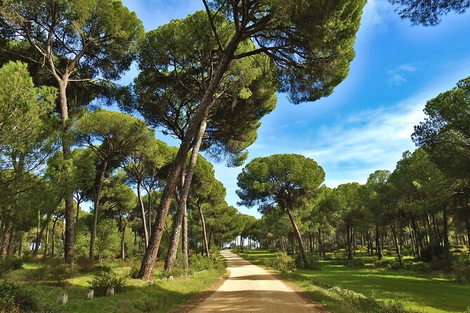 Birding & Photography Day Trip to Doñana from Seville - Is the $150.85 price fair?