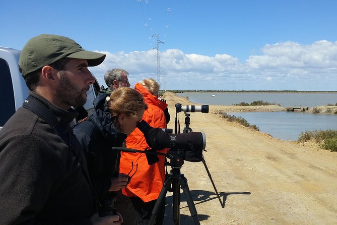 Birding & Photography Day Trip to Doñana from Seville - The 8:30 a.m. start and Seville pickup