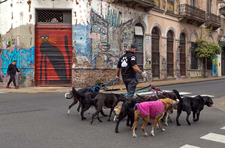 Buenos Aires: Private Photo Tour for Ammateur Photographers - Who should book this experience?