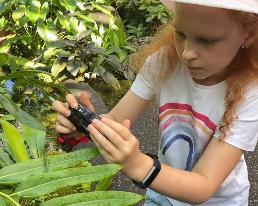 Cairns: Insect Photography Tour of Cairns Botanic Gardens - What to wear and carry