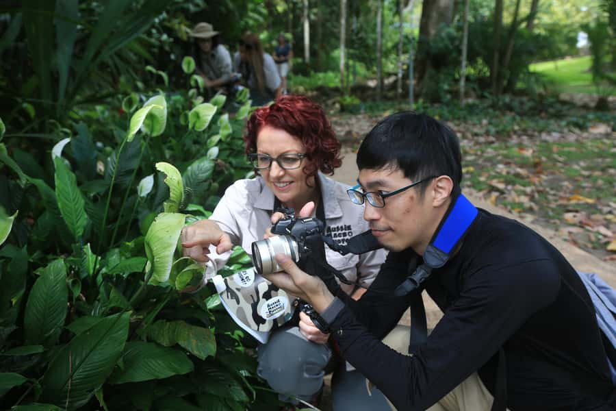 Cairns: Insect Photography Tour of Cairns Botanic Gardens - Starting at Collins Avenue