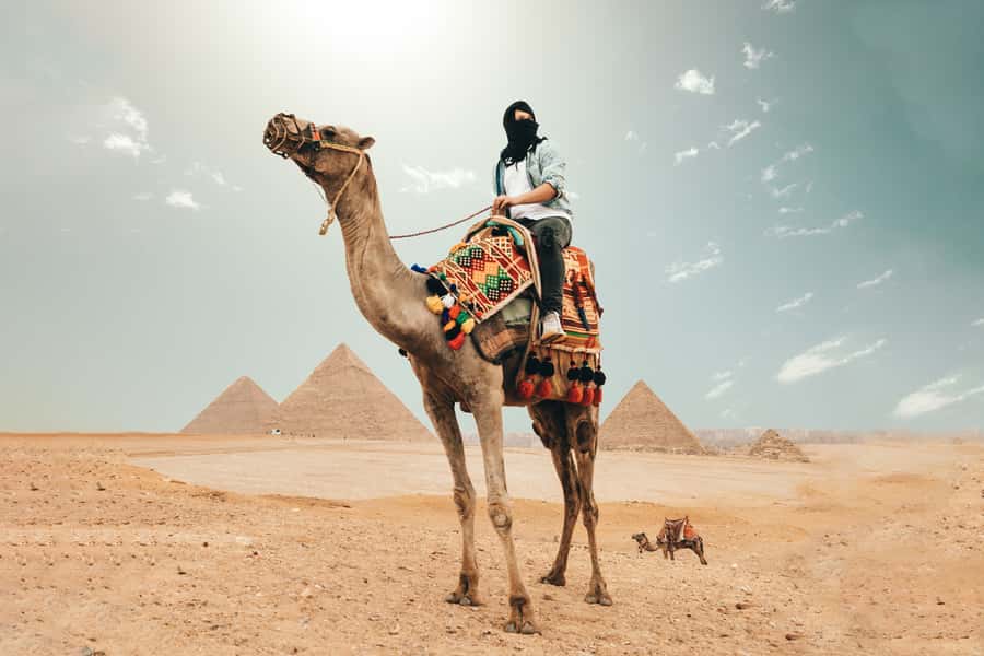 Cairo: Pyramids, Bazaar, Citadel Tour with Photographer - Why this Cairo day works so well