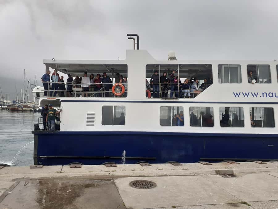 Cape Town: Cape of Good Hope, Penguins Instagram Group Tour - Hout Bay and the optional Seal Island boat