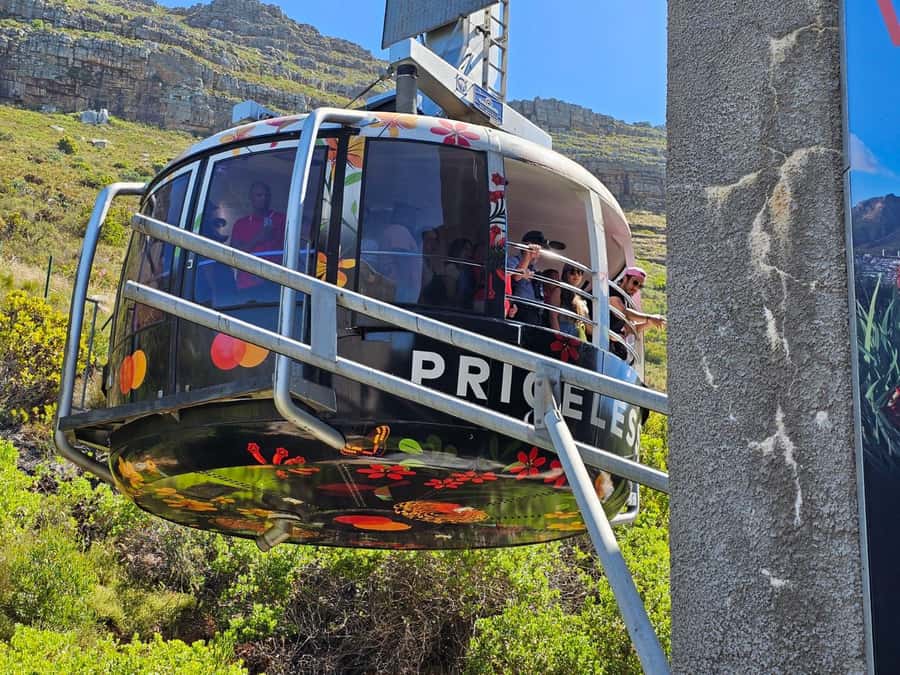 Cape Town: Table MT, Cape Point & Penguins Instagram Tour - The five details that shape your day
