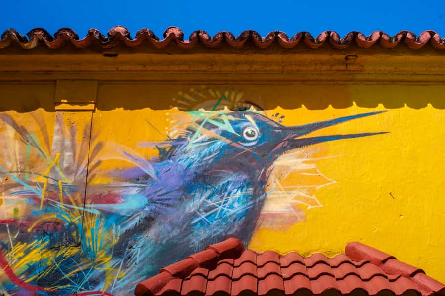 Cartagena Instagram Mobile Workshop: Scenic and Trendy Shots - What the two-hour class teaches
