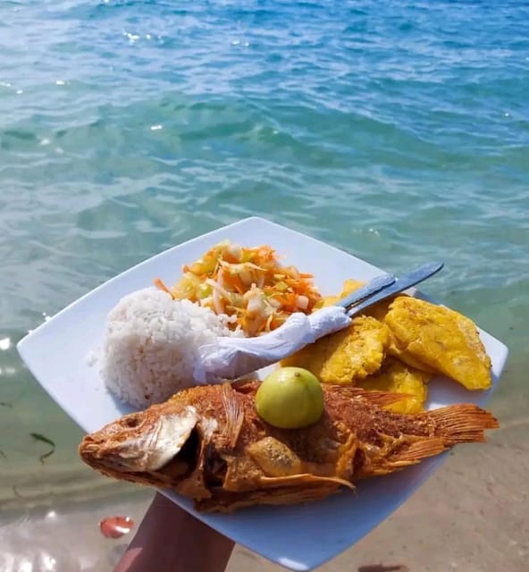 Cartagena: Raccoon Island Snorkel, Mangrove, Photos & Lunch - Language, group size, and accessibility