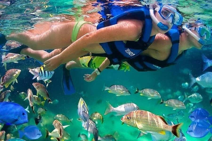 Cartagena: Raccoon Island Snorkel, Mangrove, Photos & Lunch - Three hours around Barú Island