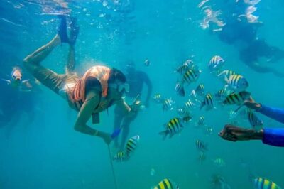 Cartagena: Raccoon Island Snorkel, Mangrove, Photos & Lunch