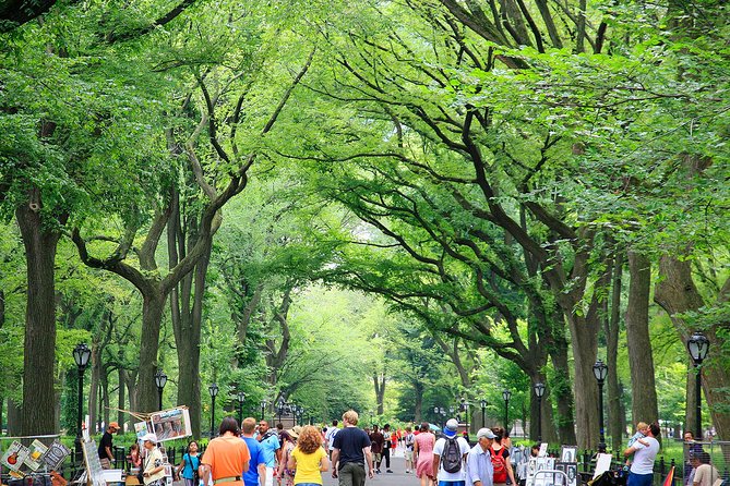 Central Park Photography Tour with Local Photographer - Naumburg Bandshell and the wider park