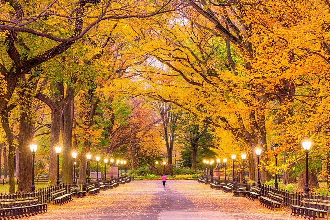 Central Park Private Photoshoot Tour with Pro NYC Guide - Key Points to Know Before You Book