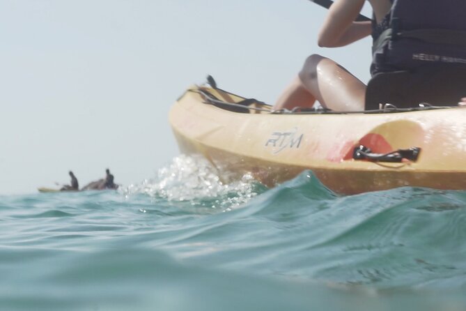 Costa Brava: Kayak, Snorkel, Photos, Lunch, Beach & Cliff Jump! - Snorkeling, swimming, and cliff jumping