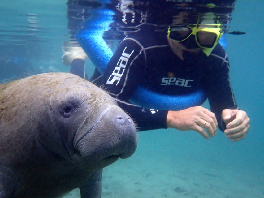 Crystal River: Manatee Snorkel Tour w/ In-Water Photographer - Quick facts worth knowing