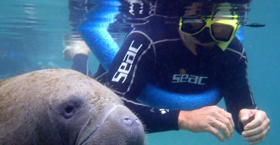 Crystal River: Manatee Snorkel Tour w/ In-Water Photographer - Practical tips for a better morning