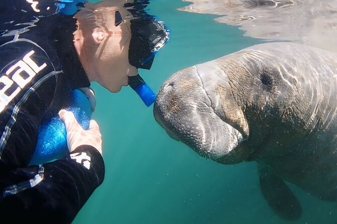 Crystal River: Private Manatee Swim With Heated Boat(Free Photos) - The $500 private boat: who gets good value