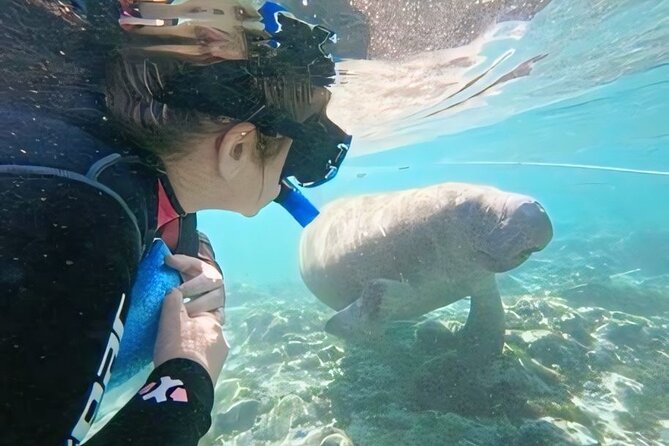 Crystal River: Private Manatee Swim With Heated Boat(Free Photos) - What happens during the three-hour outing