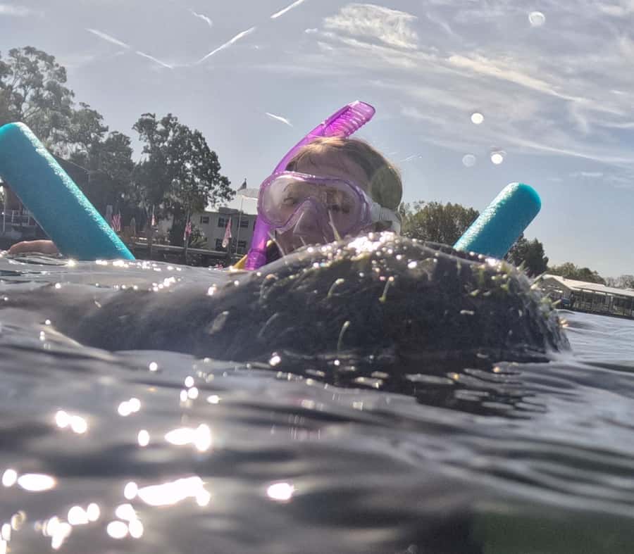 Crystal River: Swim with Manatees Private Tour Free Photos - Quick takeaways from the Crystal River outing
