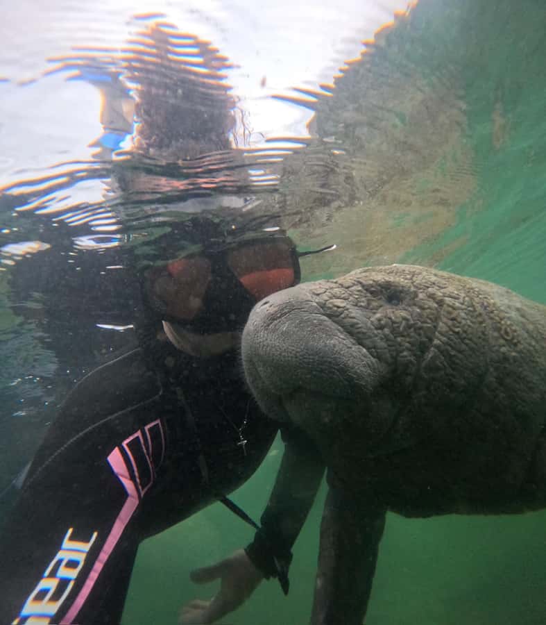 Crystal River: Swim with Manatees Private Tour Free Photos - Leaving Pete’s Pier Marina for Crystal River