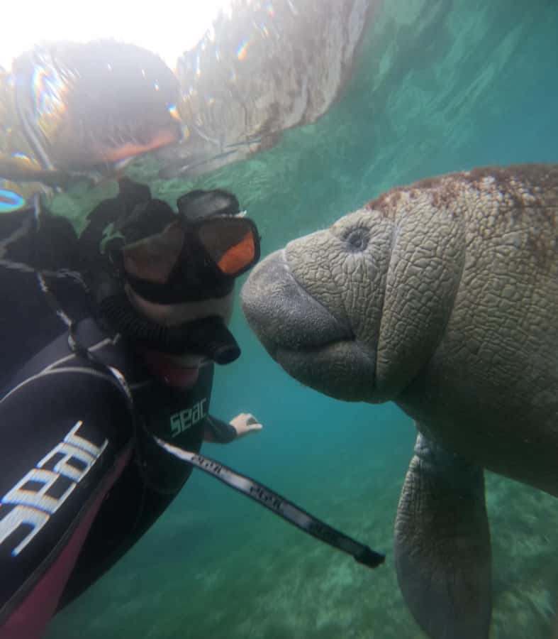 Crystal River: Swim with Manatees Private Tour Free Photos - Captain Al, the crew, and the family approach
