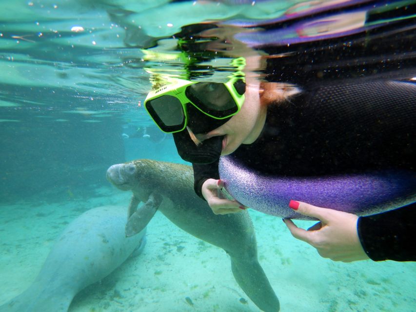 Crystal River: VIP Manatee Swim w/ In-water Photographer - Getting ready for the six-person pontoon