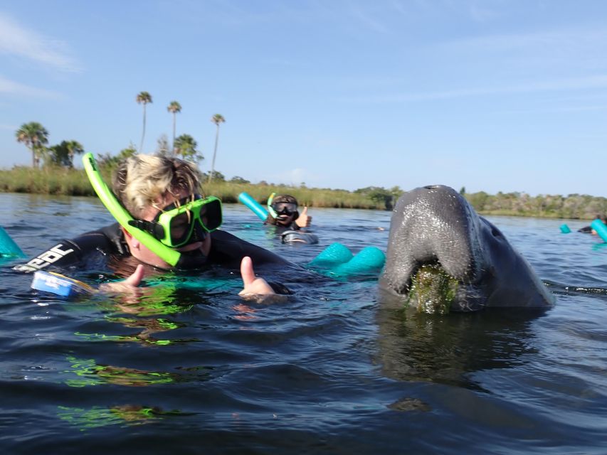 Crystal River: VIP Manatee Swim w/ In-water Photographer - What the swim is really like