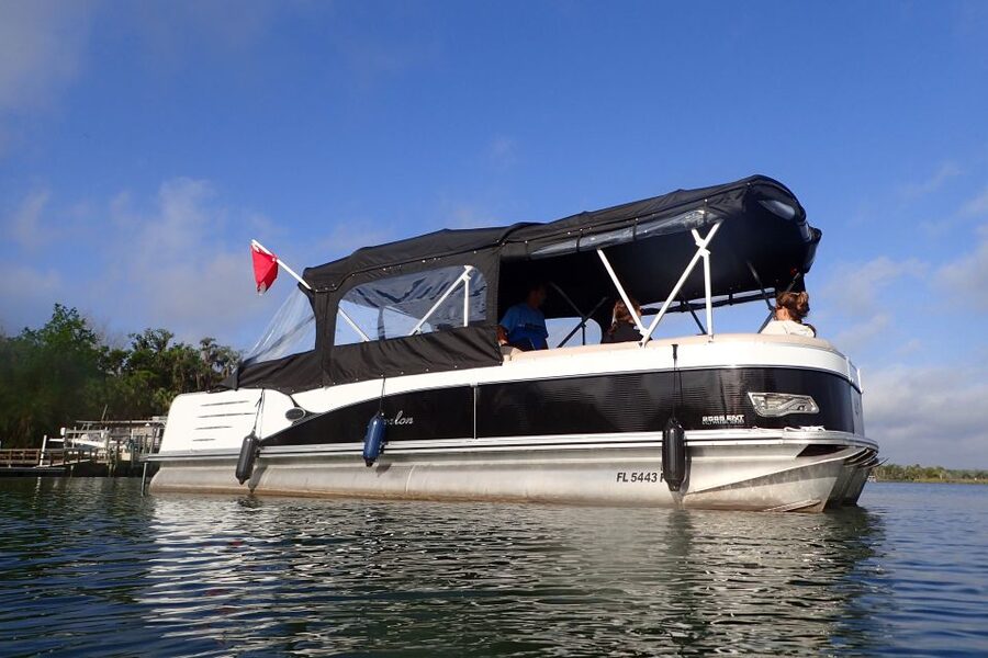 Crystal River: VIP Manatee Swim w/ In-water Photographer - Photos, cameras, and the extra cost