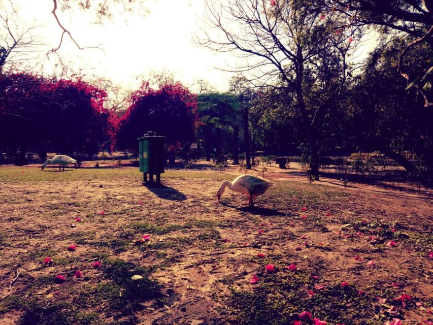 Delhi: Heritage Photography Tour - Rose Garden and the route’s softer side