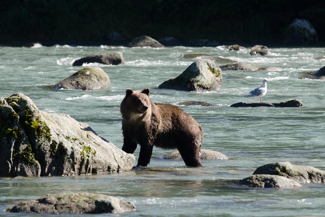 Exclusive Photography Tour to Haines - Skagway Departure - Why this Skagway to Haines trip feels different